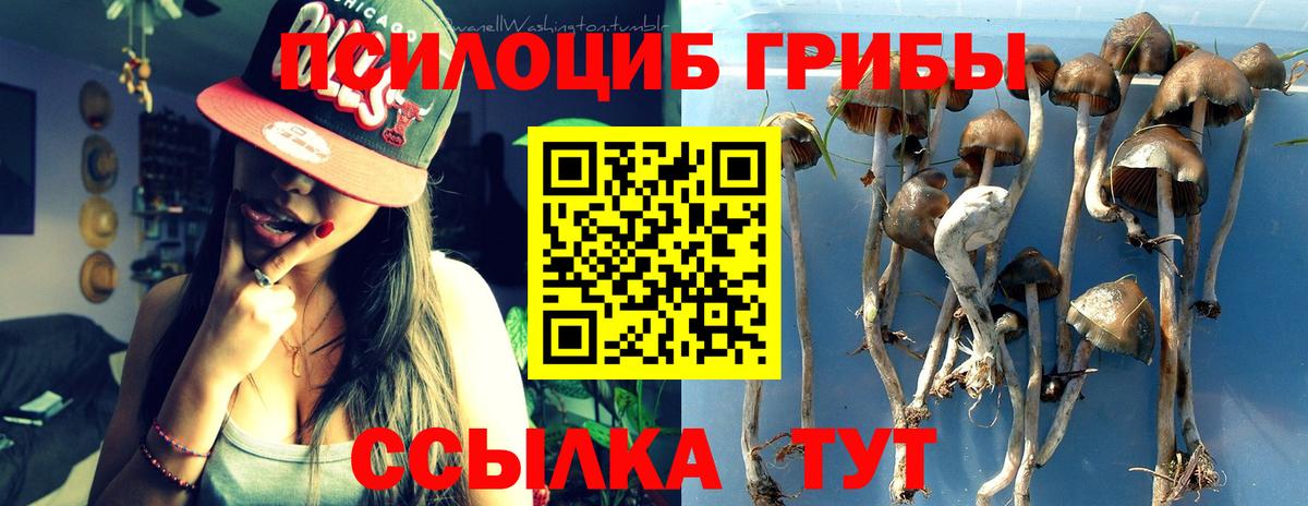 Псилоцибиновые грибы Magic Shrooms  Вход с VPN  Озёры  Галлюциногенные грибы GOLDEN TEACHER 